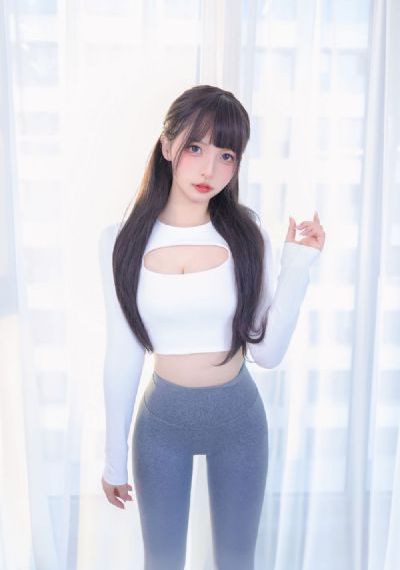金装的维尔梅2