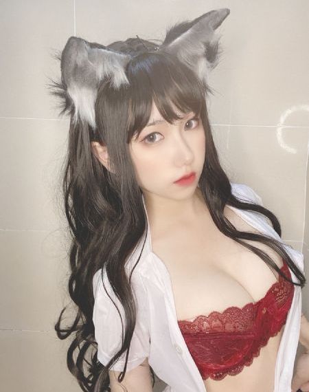 封神榜傅艺伟版