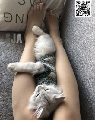 我的好妈妈韩剧电视剧好看吗