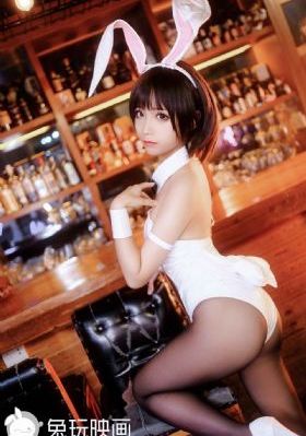 柳舟记张晚意电视剧免费观看