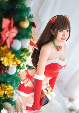 花房姑娘电视剧全集观看