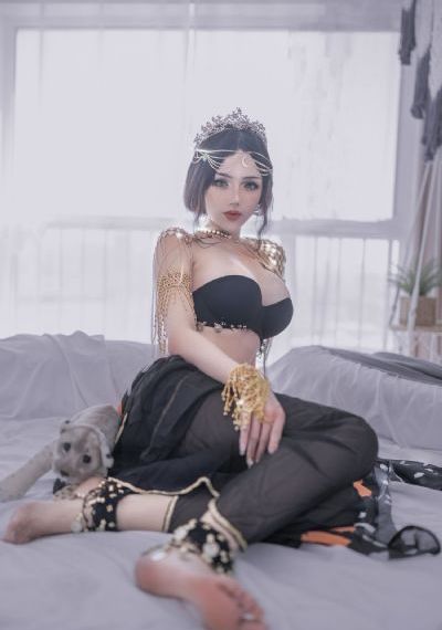 猪猪侠之恐龙日记第三季