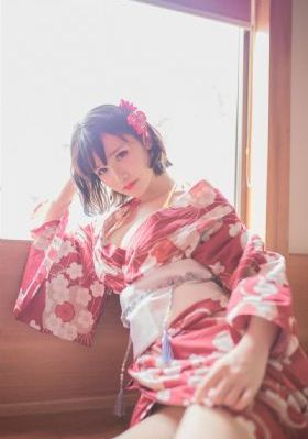 拉布拉多警长