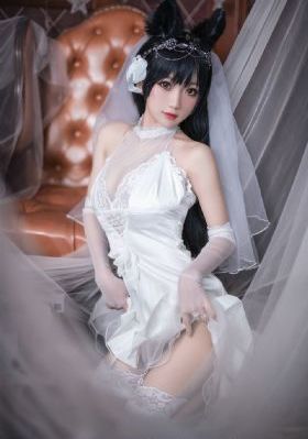 免费观看电视在线高清视频大全