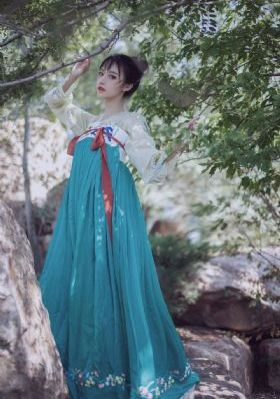 小宝与康熙在哪个app看