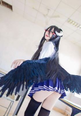 张彬彬个人资料